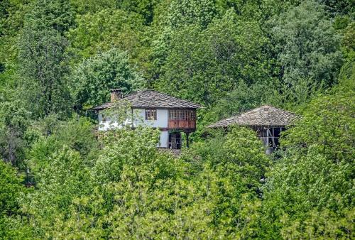 Incredible Cabin Getaway with Indoor and Outdoor Fireplaces in Selishte, Bulgaria in Kravenika