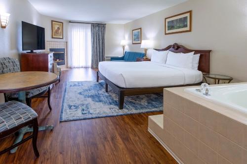 Premier King with Mountain and Water Park View - Inn