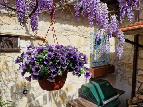 The Courtyard Suite in Germasogeia