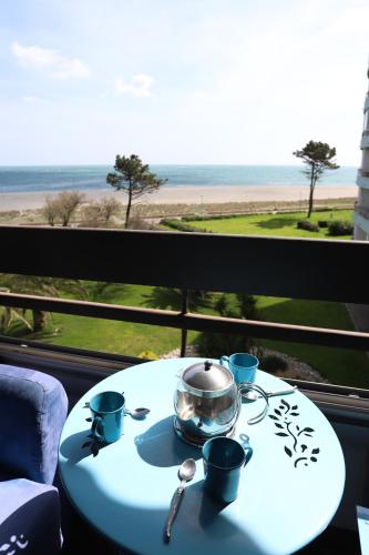 Magnifique vue mer Appart les pied dans l eau St Cyprien in Saint-Cyprien