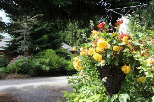 Grand Fir Lodge in Little Budworth