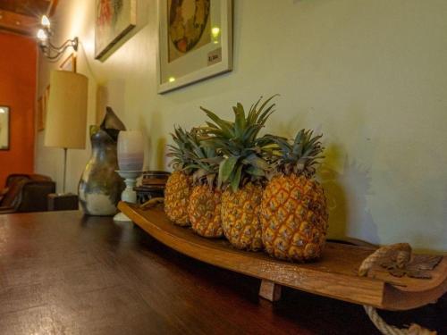 Seadmed, Suntouched Inn in Napier