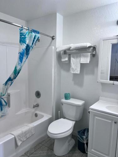 OYO Hotel Pearsall I-35 East - main image