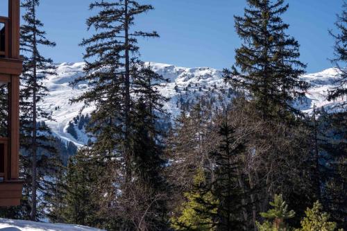 Antares URSA 203 - luxury apartment ski inski out in Meribel