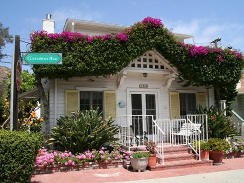 359CA 359 Catalina, Avalon