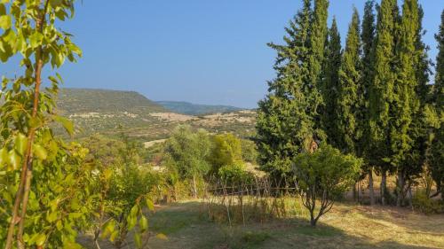 Casa Alce Gaucin - image 12