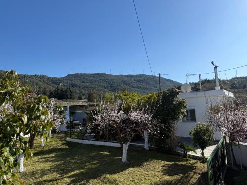 Aquarius View Aquarius View