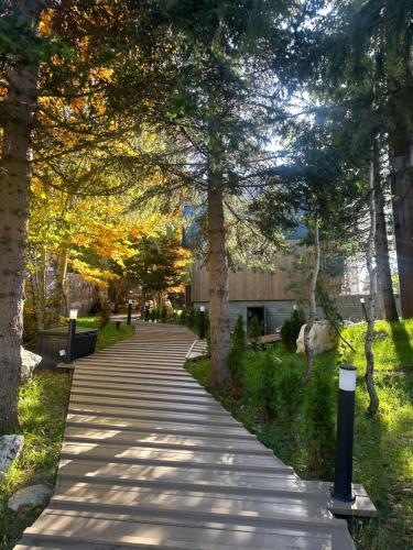 MONTE PINE CHALETS, Žabljak (photo 8)