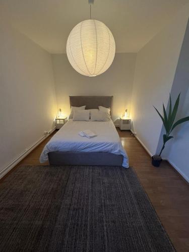 Spacious 3 bedroom duplex in Saint-Jean Charmilles