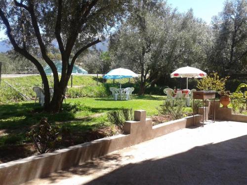 Gîte du lac chez bennouri (Gite du lac chez bennouri) in Telouet