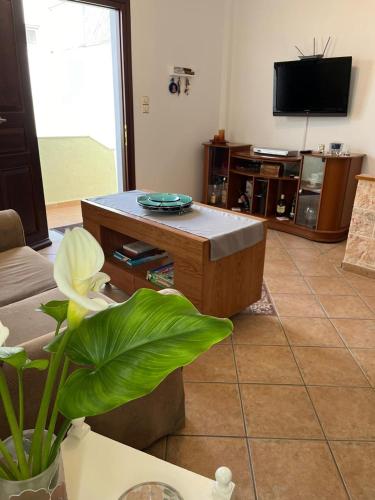 SA nest, Spetses (fotografie 6)
