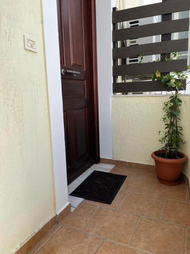 SA nest, Spetses (fotografie 5)