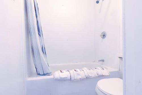 Country Hearth Inn & Suites By OYO Sturgis - image 2