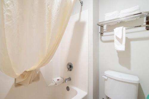 Junior Suite image 1