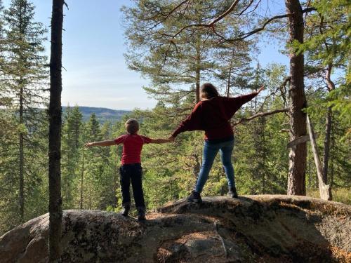 Neva Stallet, former horsestable in Lesjöfors