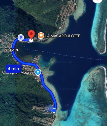 Le papayer in Afareaitu