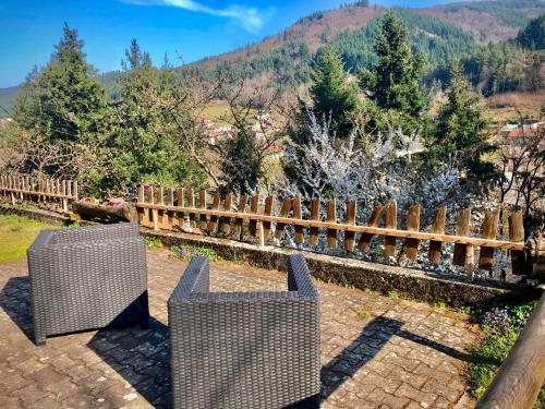 Surrounding environment, Chalet Les Accacias in Lalouvesc