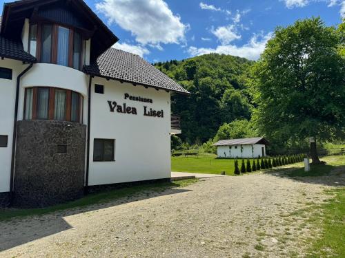 . Pensiunea VALEA LISEI