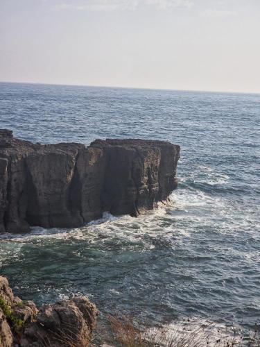 North Wind, Noja (fotografie 2)