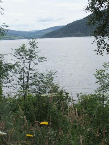 Foyers Roost - image 6