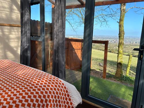 Sky gazer cabin in the woods, Dublin (fotografie 4)