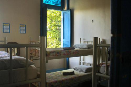 Bunk Bed in Mixed Dormitory Room image 3