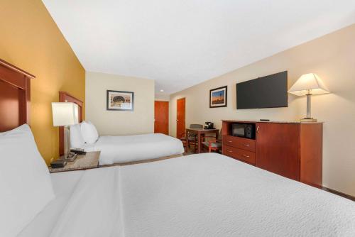 Double Room with Two Double Beds - Disability Access image 3