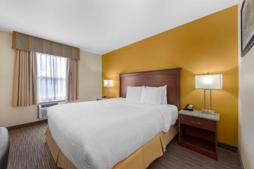 King Room - Disability Access room in Best Western Executive Inn & Suites