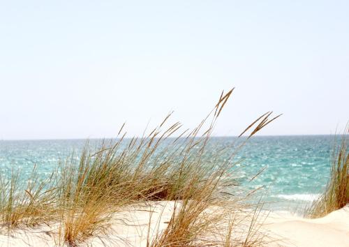 A környék, Sukha surf lodge in Lit-Et-Mixe