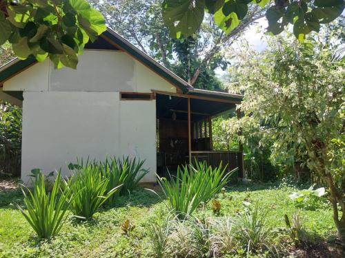 JARDIN DE LAS MUSAS