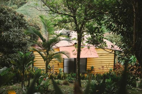 Cabaña entre las montañas Tierra Mia - Eje Cafetero - Palestina