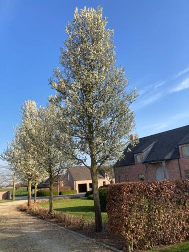 Hoeve Sterrewijk gîte à louer Aalter