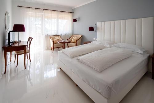 Hotel Aster - main image