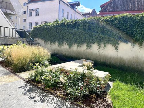 Old Town Luxury Apartment, Tallinn (photo 8)