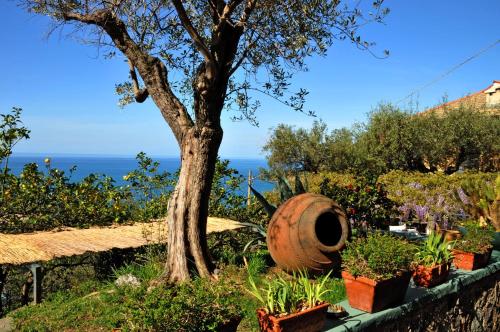 Hotel Villa Belvedere - image 2