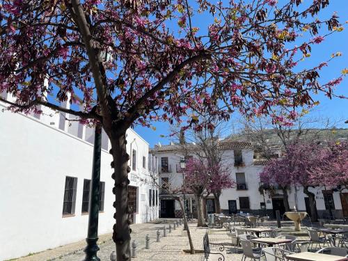 El Patio del Albaicín, Granada (fotografie 7)