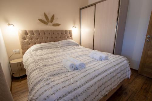 Bright & Cozy Apartment in quiet area near Airport, Golubovci (zdjęcie 5)