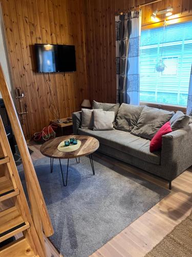 Shared lounge/TV area, Katin talo in Pyhatunturi