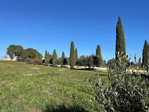 Apkārtne, Bâtisse au cœur d'un vignoble (Batisse au cœur d'un vignoble) in Montfrin