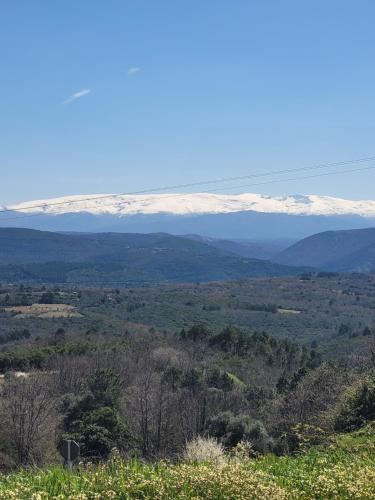 Apartamento La Muralla in Miranda Del Castanar
