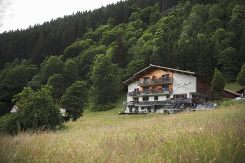 Appartements Tanafreida Sankt Gallenkirch