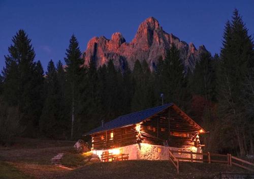 Maso 1445,Quiet, Breathtaking Views gîte à louer San Martino di Castrozza