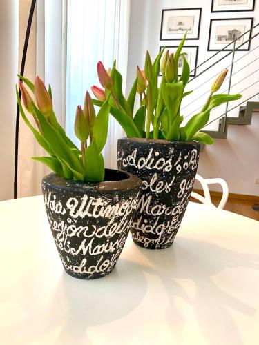 Loft Crocetta 3