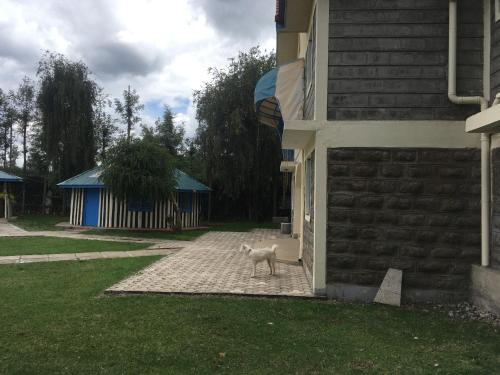Camp George Guest Lodge in 納紐基