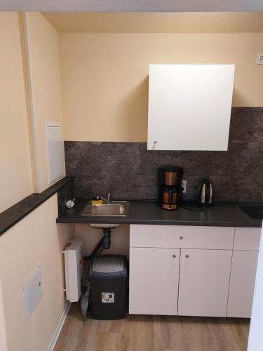 Waldquelle 1 in Plauen