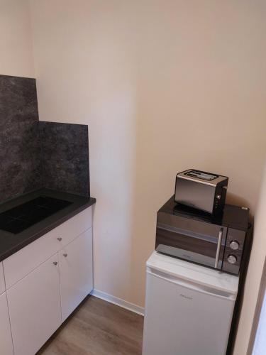 Waldquelle 1 in Plauen