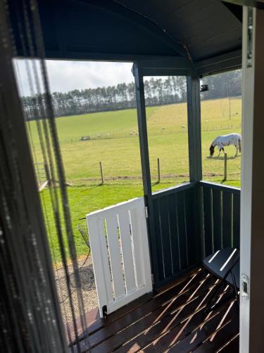 Roslin Glamping in Рослін