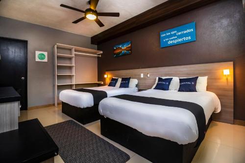 Collection O Hotel Mango,Six Flags Hurricane Harbor Oaxtepec in Oaxtepec, Mexico