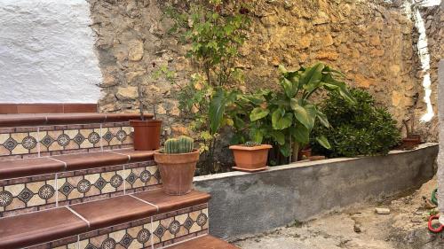 La Casa de Domingo in Moclin