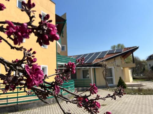 Aqua Therm Hotel - main image